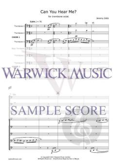 Can You Hear Me? von Jeremy Dibb 