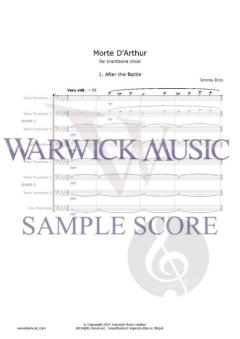 Morte D'Arthur von Jeremy Dibb 