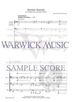 Section Sounds von David Rahbee 