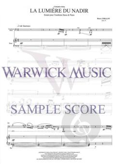 Le Lumiere du Nadir von Pierre Thilloy 