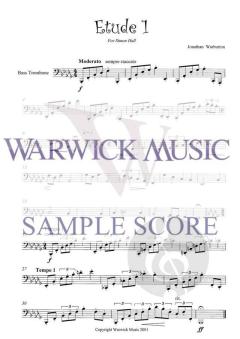 Beyond the Basics von Jonathan Warburton 