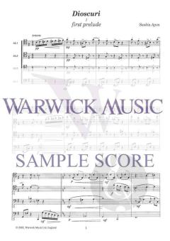 Dioscuri von Saskia Apon 