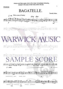 Bagatelle von Timothy Salter 