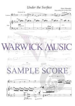 Under the Surface von Peter Maunder 