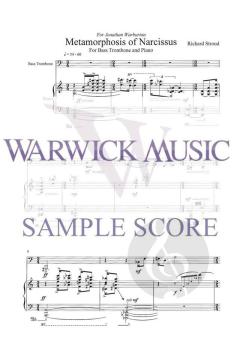 Metamorphosis of Narcissus 