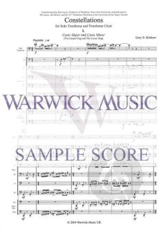 Constellations von Gary Belshaw 