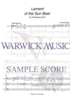 Lament of the Sun Bear von Thomas Zugger 