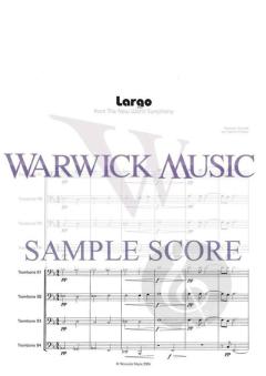 Largo from the New World von Antonin Dvorak 