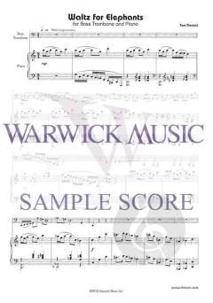 Waltz for Elephants von Tom Dossett 