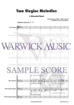 2 Elegia Melodies op. 34 