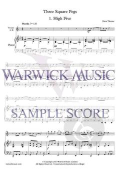 3 Square Pegs von Peter Thorne 