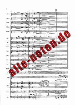 Smells Like Teen Spirit (Paul Anka) 