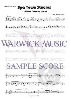 Spa Town Studies von John Robert Brown 