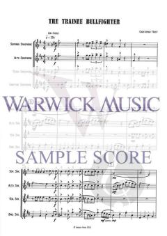 The Trainee Bullfighter von Christopher Frost 