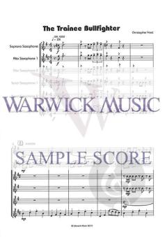 The Trainee Bullfighter von Christopher Frost 