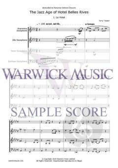 The Jazz Age of the Hotel Belles Rives von Terry Trower 