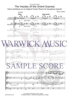 Heyday of the Orient Express von Terry Trower 