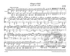 Allegro a-Moll op. post. 144 D 947 "Lebensstürme" von Franz Schubert 