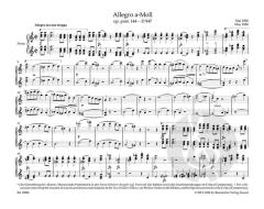 Allegro a-Moll op. post. 144 D 947 "Lebensstürme" von Franz Schubert 