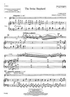 Swiss Shepherd, The von Pietro Morlacchi 