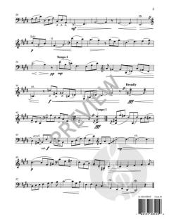 Take Joy von Roger Ames 