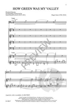 How Green Was My Valley von Roger Ames 