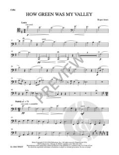 How Green Was My Valley von Roger Ames 