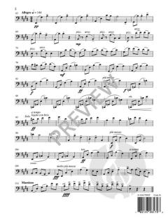 How Green Was My Valley von Roger Ames 