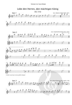 Das Ständchenheft - Stimme 1 in C hoch (Flöte) 