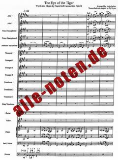 Eye Of The Tiger von Frank Sullivan 