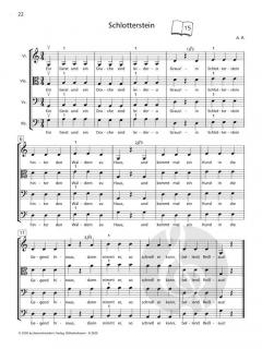 Frisch gestrichen Band 1 von Astrid Riese 