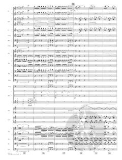 The Flight to Neverland from Hook von John Williams 