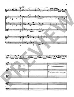 Concerto Nr. 6 D-Dur von John Baston 