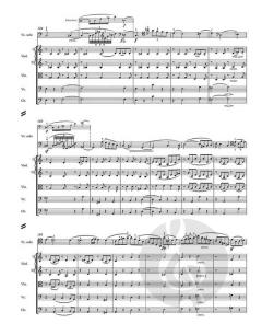 Konzert in a-Moll op. 129 von Robert Schumann 