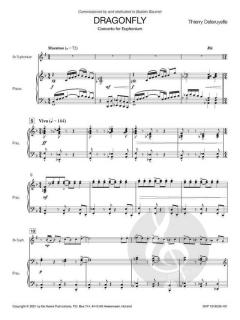 Dragonfly von Thierry Deleruyelle 