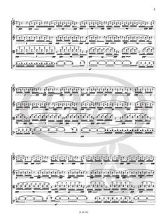 Aeolus von Bella Máté 