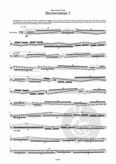 Blumenwiese 7 von Georg Friedrich Haas 