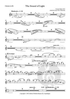 The Sound Of Light von Carsten Dahl 