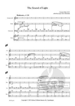The Sound Of Light von Carsten Dahl 