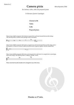 Camera Picta von Britta Buström 