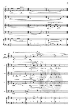 The Willow Lullaby von Townsend Losey 