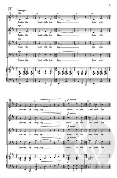 Shout for Joy von Dan Davison 