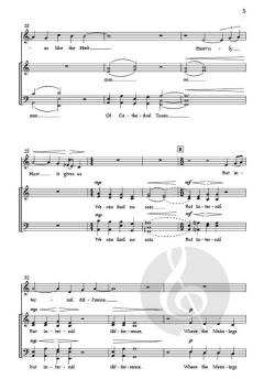 Slant of Light von Sam Scheibe 