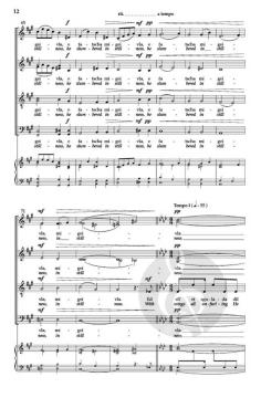 Tschitta Saltunza von Jansson Mårten 