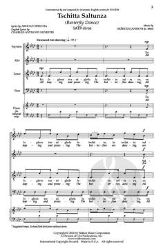 Tschitta Saltunza von Jansson Mårten 