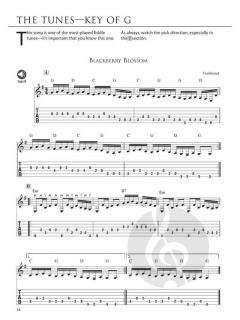 Fiddle Tunes for Flatpickers - Guitar 