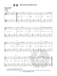 Teach Yourself Bluegrass Guitar 