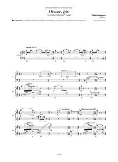 Oiseaux gris von Tobias Feierabend 