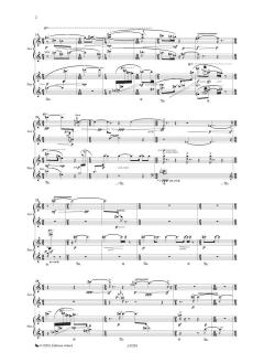 Oiseaux gris von Tobias Feierabend 