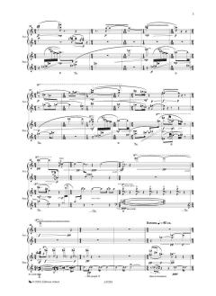 Oiseaux gris von Tobias Feierabend 